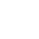 Values Icon